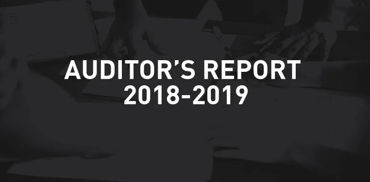 Auditor's Report 2018-19