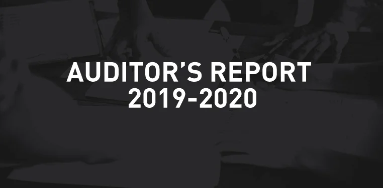 Auditor's Report 2019-20