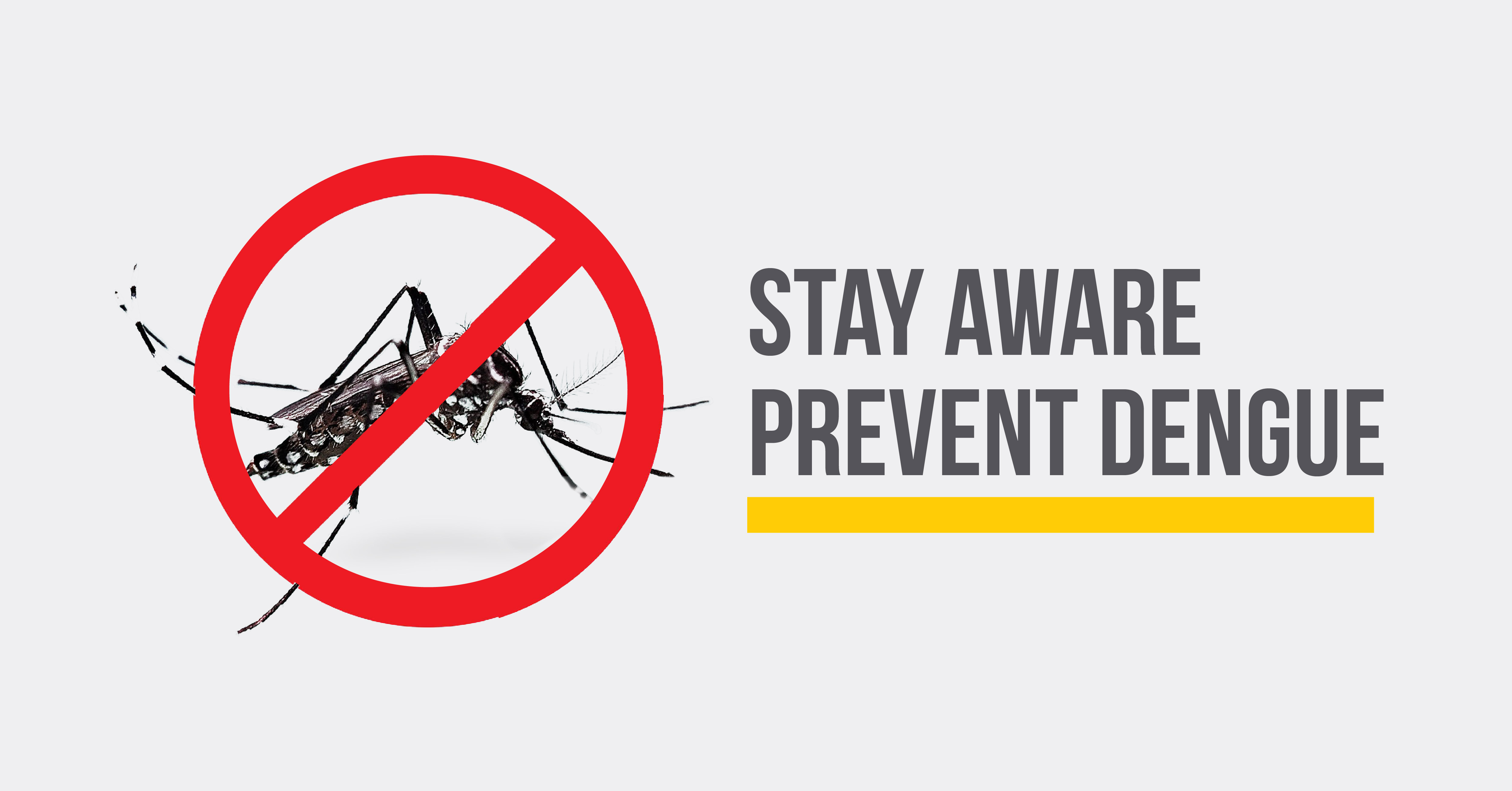 Beating Dengue Together: Essential Dengue Awareness and Prevention Tips for Homes and Communities