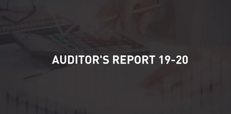 Auditors-Report-2019-2020